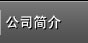 公司简介